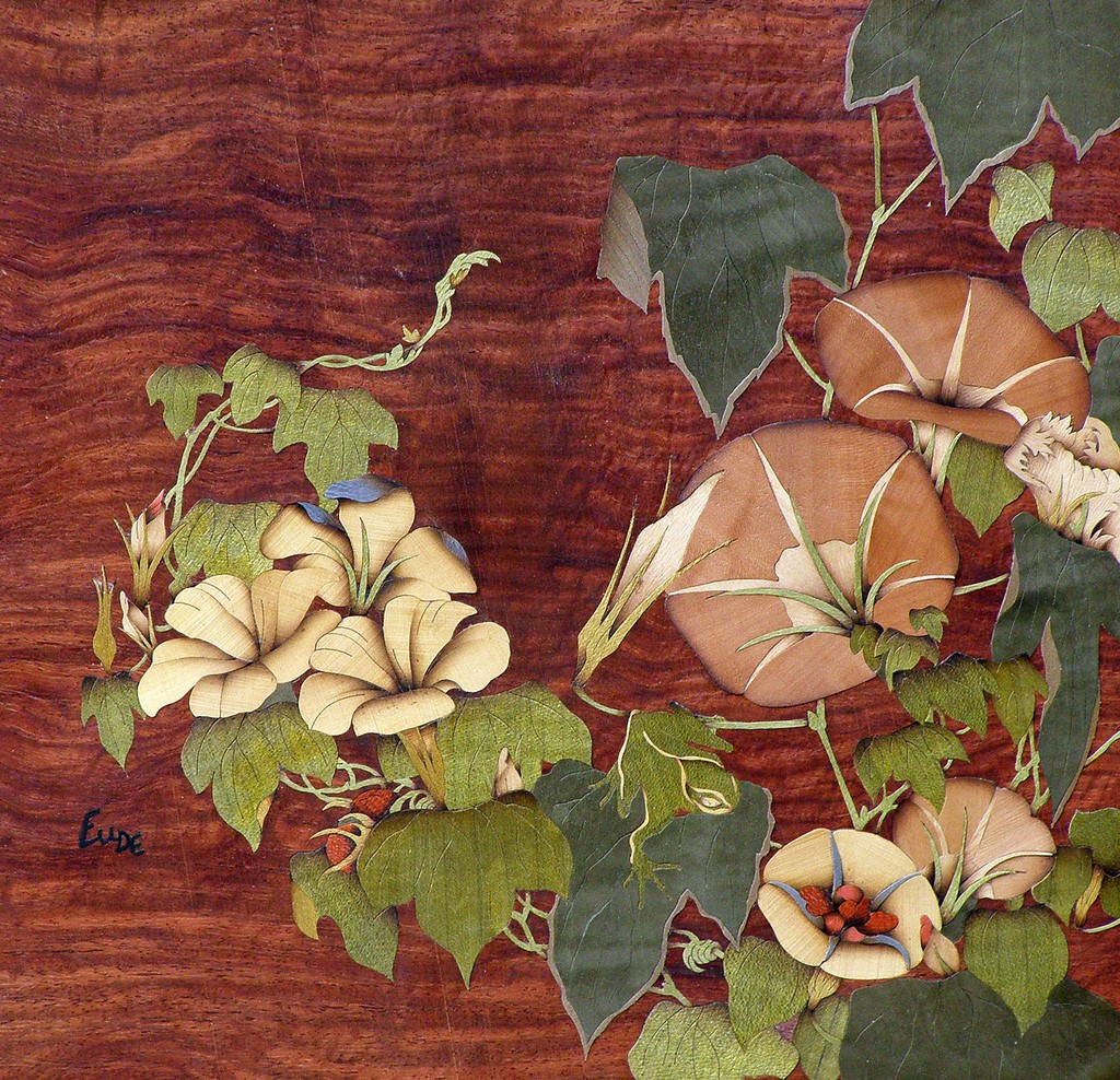 Volubilis et Rainette d'après Hokusai